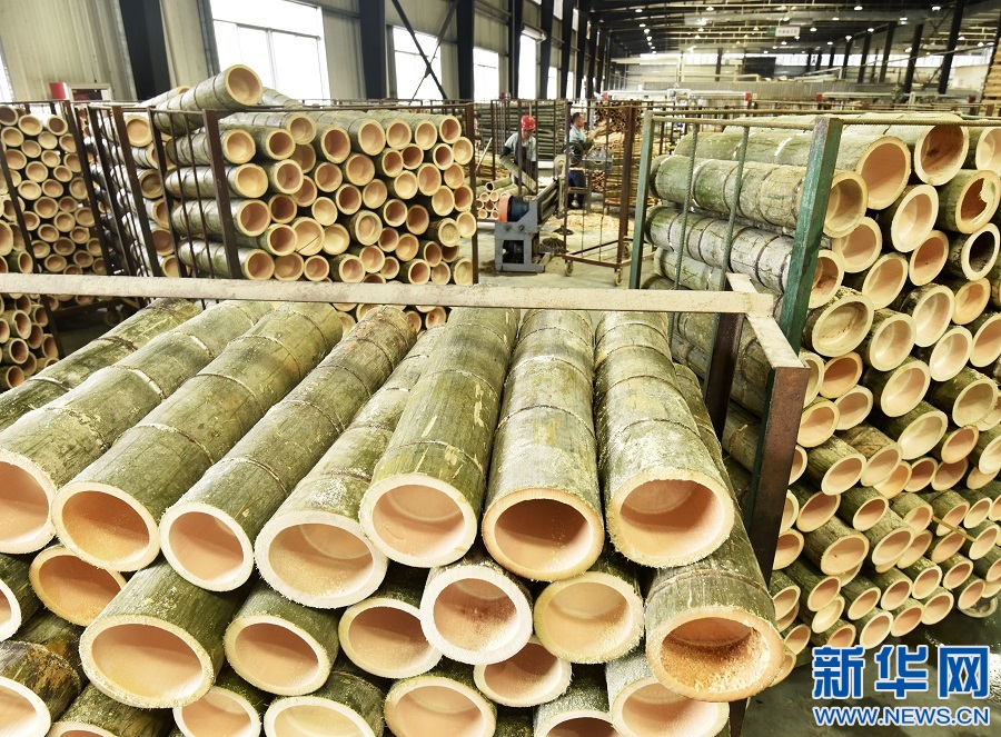 江西資溪:加快毛竹產(chǎn)業(yè)轉(zhuǎn)型升級 推動竹產(chǎn)業(yè)高質(zhì)量發(fā)展